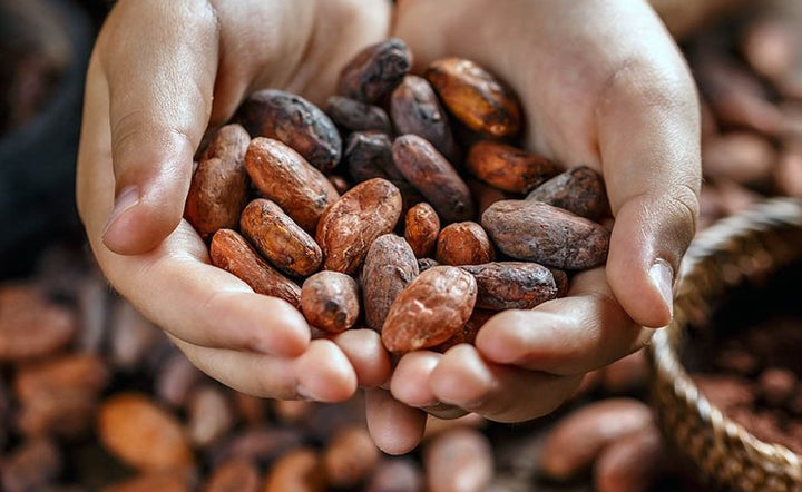 Cocoa — It's For So Much More Than Chocolate