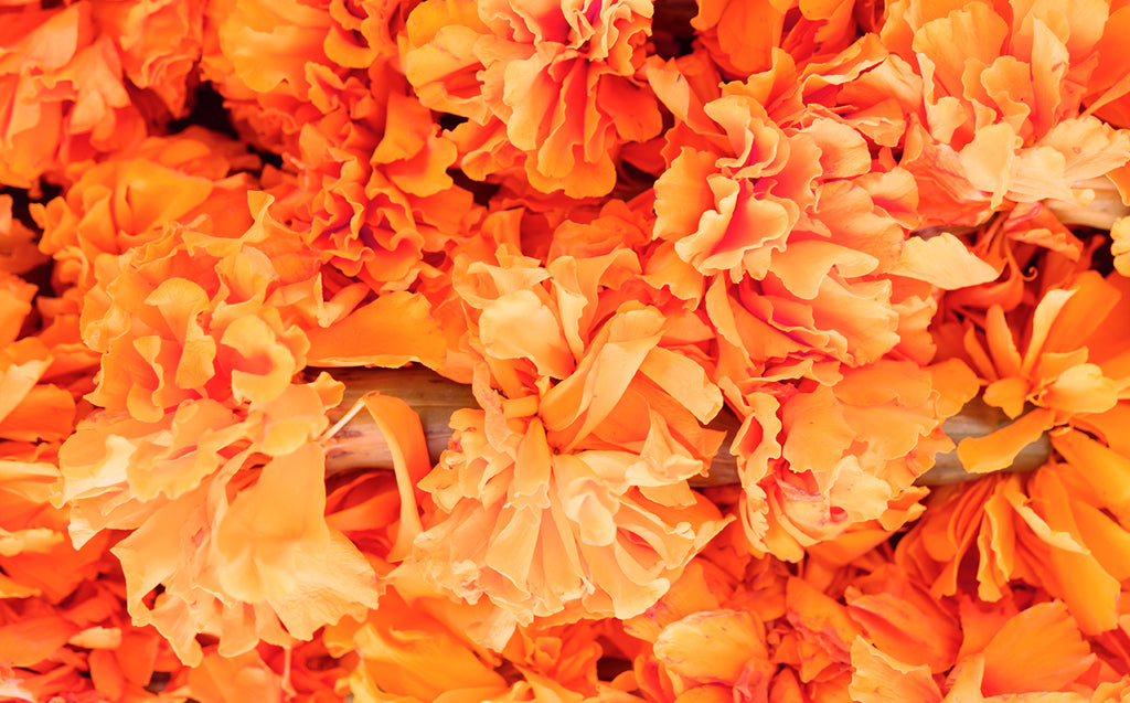 Fragrance and Your Preemie