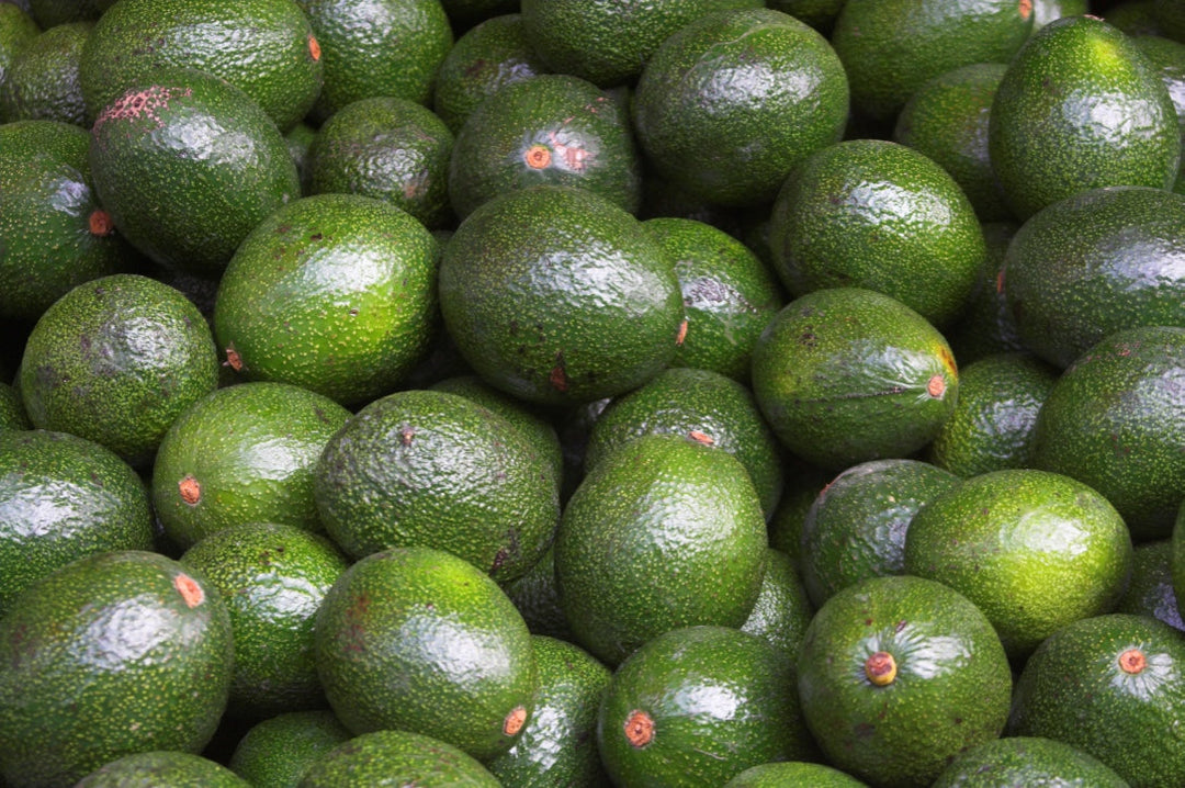 pile of avocados – BEB Organic skincare products – Luxury, health-filled skincare for preemies – premature baby - BEB Organic Bubbly Wash - BEB Organic Silky Cream - BEB Organic Healing Gel - BEB Organic Nourishing Oil - BEB Organic Diaper Balm – Kim W